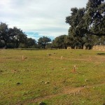 Grupo Triedro - EDAR y colectores en Fuenlabrada de los Montes