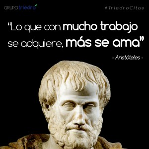 ¿A cuál de sus muchas áreas de estudio se refería Aristóteles con esta afirmación? El que fuera discípulo de Platón, cultivó además de la filosofía tratados de física, astronomía, biología... Él de primera mano conocía el esfuerzo por el trabajo bien hecho y la satisfacción que produce.  Los ingenieros, que debemos superar muchos obstáculos en nuestra carrera y profesión, sabemos también de primera mano lo que significa esta frase, que sigo con enorme vigencia 2.300 años después.